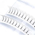 2Trays 5D Pre-Made Fans Volume Lashes 240 Fans